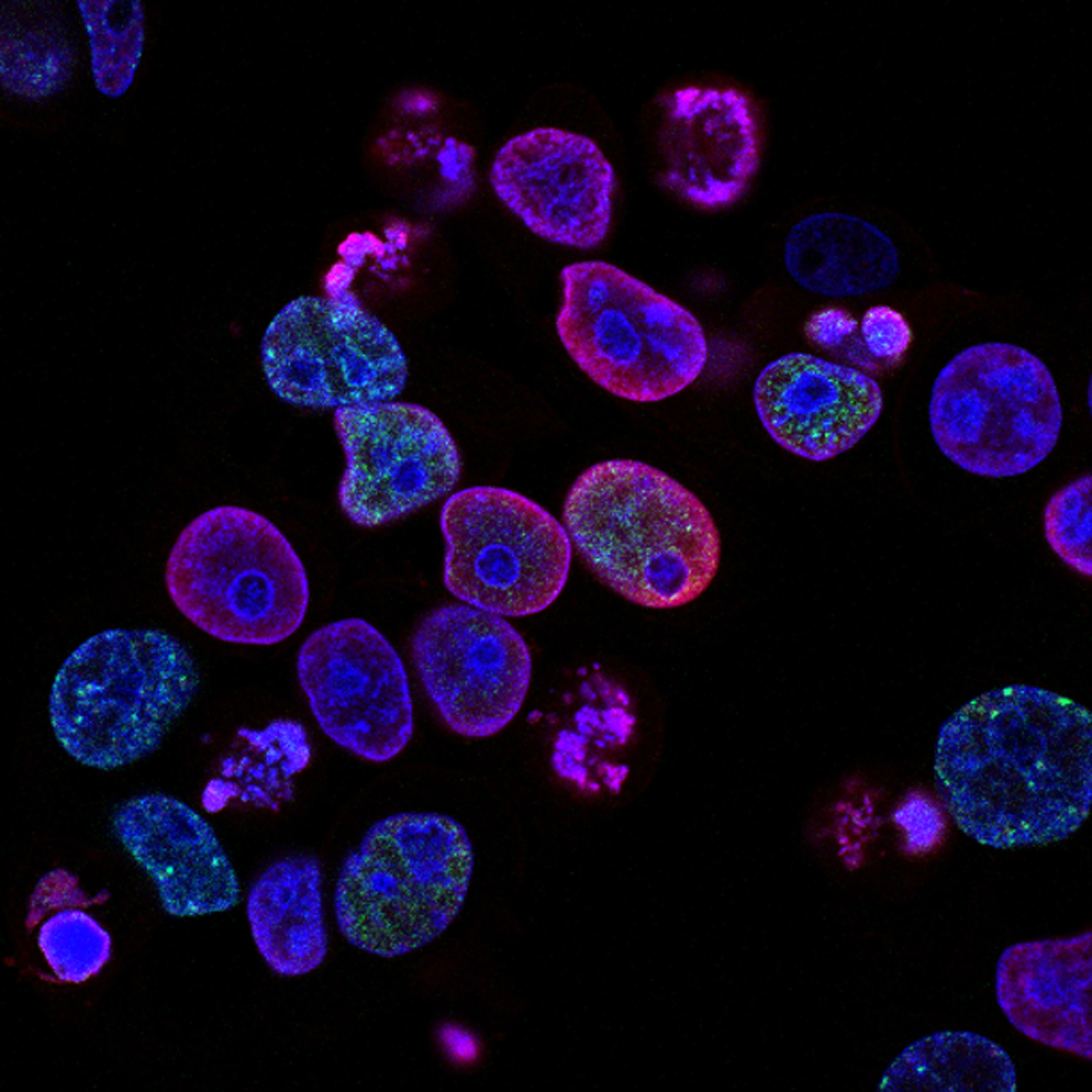 image from Project IV: Drug Target Identification